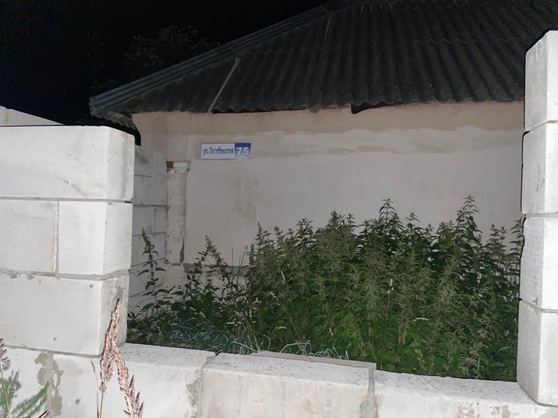 В домовладении жителя Кораблинского района полицейские ликвидировали плантацию конопли